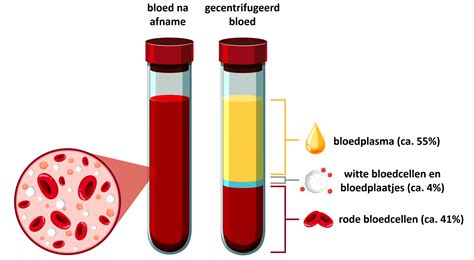 illustratie van bloedcellen en DNA-fragmenten in bloed