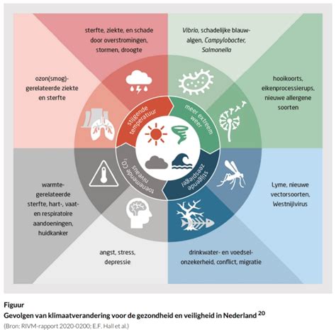 infographic die de gevolgen van tandsteen illustreert