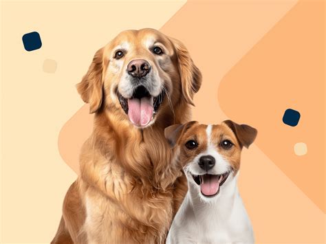 Een puppy die zijn ogen opent en de omgeving begint te verkennen.