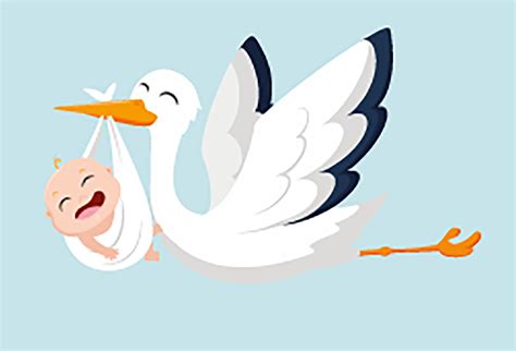 Een illustratie van een ooievaar die een baby brengt, passend bij de tekst over een langverwachte geboorte.