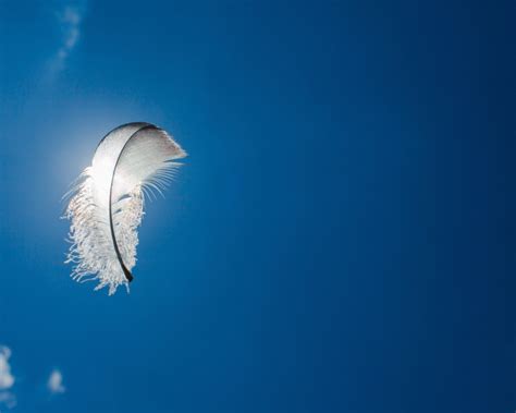 Een subtiele illustratie die zowel vreugde als een vleugje melancholie uitdrukt, zoals een veertje of een sterrenhemel.