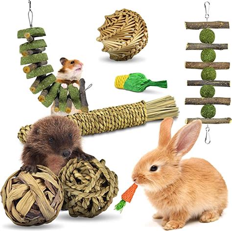 Een divers assortiment aan cavia-speelgoed, waaronder tunnels, knaagmateriaal en voerballen.