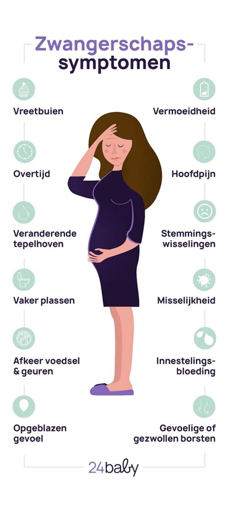 Infographic met de meest voorkomende zwangerschapssymptomen.