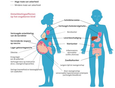 Illustratie die de kwetsbaarheid van het ongeboren leven symboliseert