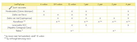 een schema dat de verschillende fertiliteitsbehandelingen voor PCOS vergelijkt