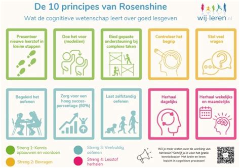 Infographic die de principes van reproductieve rechtvaardigheid uitlegt.