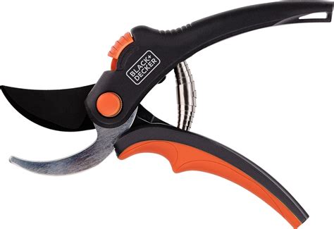 Gedetailleerde illustratie van het gebruik van een snoeischaar op een klimop tak