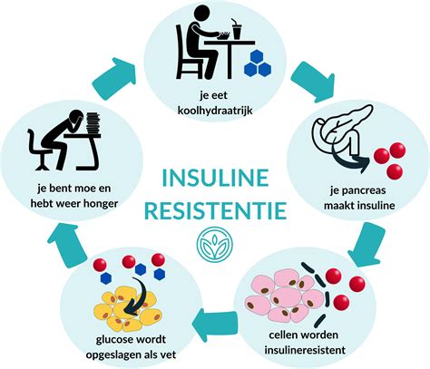 Infographic die de relatie tussen insulineresistentie, obesitas en Acanthosis Nigricans weergeeft.