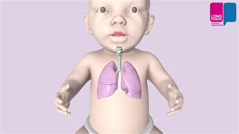 Illustratie van neusvleugelen bij een baby