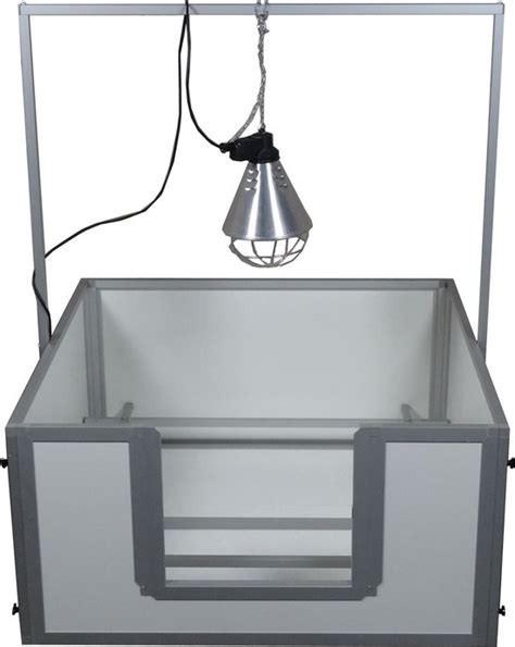 Een voorbereide werpkist met warmtelamp voor een drachtige kat