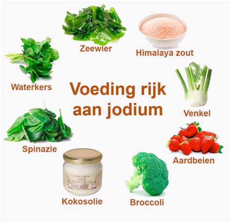 Infographic met voedingsmiddelen rijk aan jodium en calcium