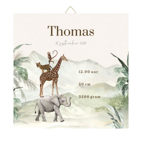 Illustratie van diverse gepersonaliseerde babycadeaus, zoals een rompertje met naam, een houten groeimeter en een geboortesieraad.