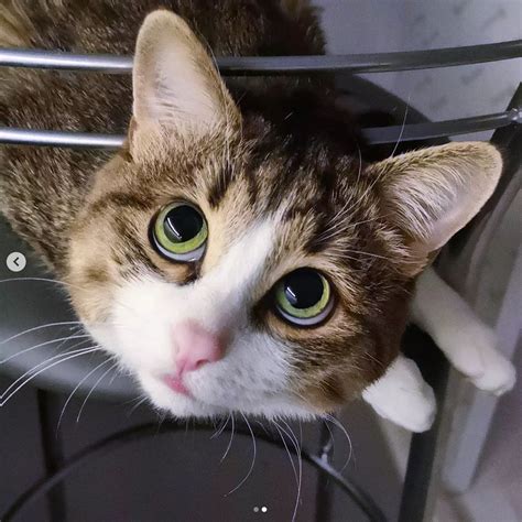 Een kind dat met een speelgoedmes een plastic appel doorsnijdt, waarbij de twee helften aan elkaar blijven zitten met klittenband.