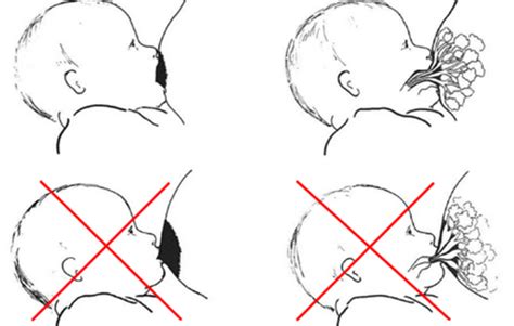 Illustratie van de juiste aanlegtechniek bij borstvoeding, met nadruk op mondopening en de greep van de baby op tepel en tepelhof.