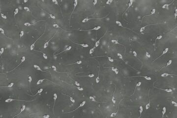 microscoop met een afbeelding van zaadcellen, illustrerend het spermaonderzoek