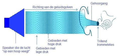 Illustratie van een echoscopieapparaat dat geluidsgolven uitzendt en ontvangt.