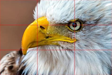 Close-up van een Clearblue test met duidelijke uitleg van de lijnen (positief/negatief/indroogstreep)