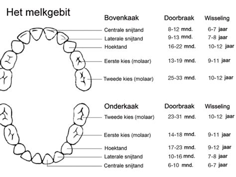 Schema met de verschillende soorten pijnstilling bij doorkomende tandjes, met Dentinox als een optie