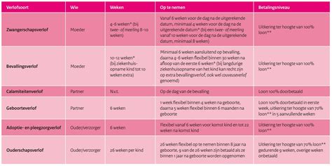 overzicht van verschillende soorten verlof na de geboorte