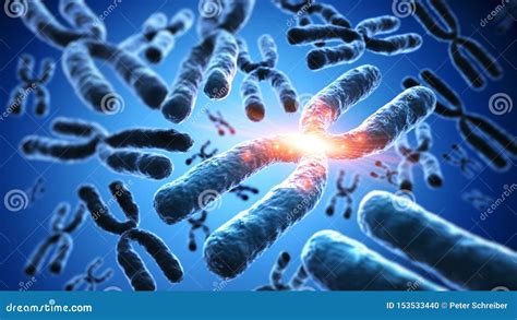 illustratie van chromosomen