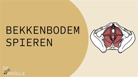 Illustratie van de bekkenbodemspieren en hun functie