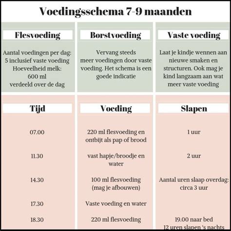 Infographic met een voorbeeld dagschema voor een 9 maanden oude baby, inclusief slaap- en voedingstijden