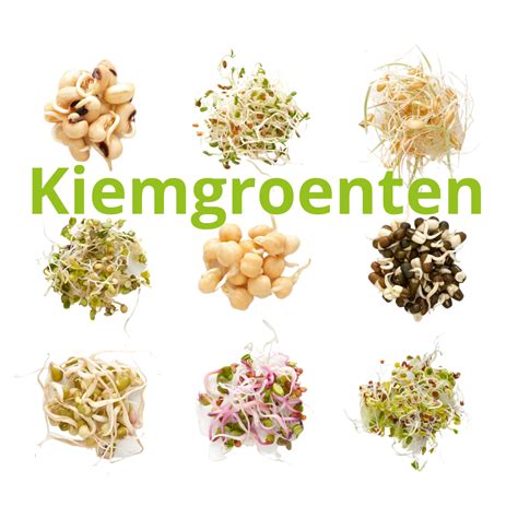 Illustratie van verschillende soorten kiemgroenten met een indicatie van risico's tijdens de zwangerschap.