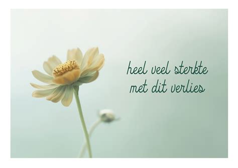 Symbolische afbeelding van steun en verwerking na verlies.