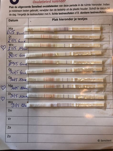 Infographic die de verschillende resultaten van een ovulatietest uitlegt: negatief, licht positief en positief.