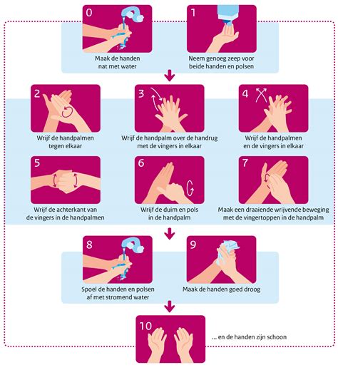 Infographic met de stappen voor correct handen wassen