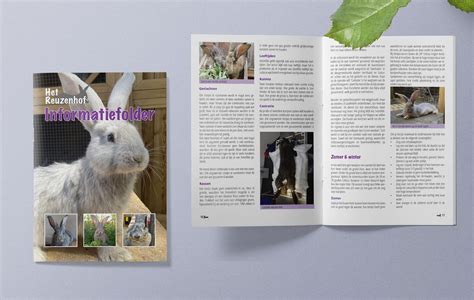 informatiefolder 13-wekenecho