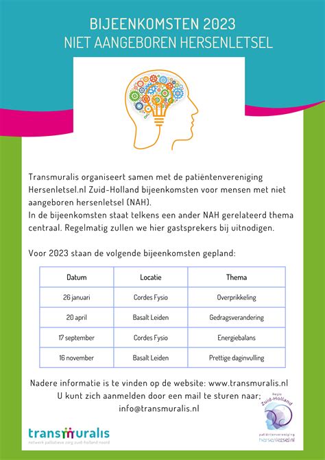 Infographic die de verschillende oorzaken en gevolgen van niet-aangeboren hersenletsel bij kinderen toont.