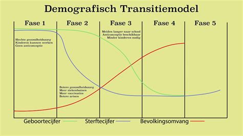 Infographic die de verschillende fasen van de demografische transitie illustreert.