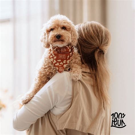hond met bandana met tekst 