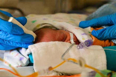 Schematische weergave van de twee fasen van hersenschade na zuurstoftekort bij pasgeborenen.