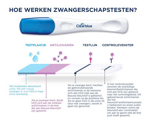 illustratie van een zwangerschapstest met een negatieve uitslag, symboliserend de onzekerheid na bloedverlies
