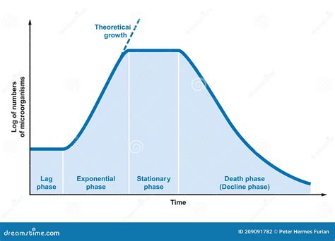 Illustratie van de WHO-groeicurve en de TNO-curve, met uitleg over de verschillen.