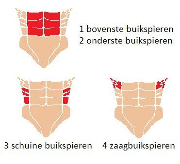 Illustratie van oefeningen voor de dwarse en schuine buikspieren na de bevalling.