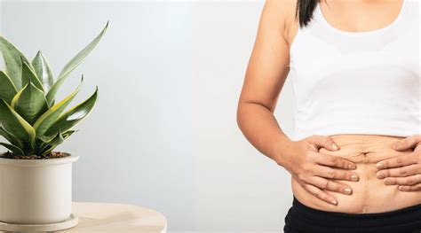 Infographic over de oorzaken van een slappe buik na de zwangerschap.