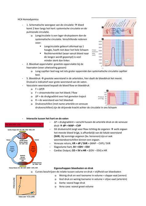 Schematische weergave van DNA-fragmenten in bloed tijdens zwangerschap
