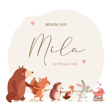 Collage van diverse silhouet-illustraties voor geboortekaartjes: dieren, voertuigen, hartjes, en silhouetten van kinderen.