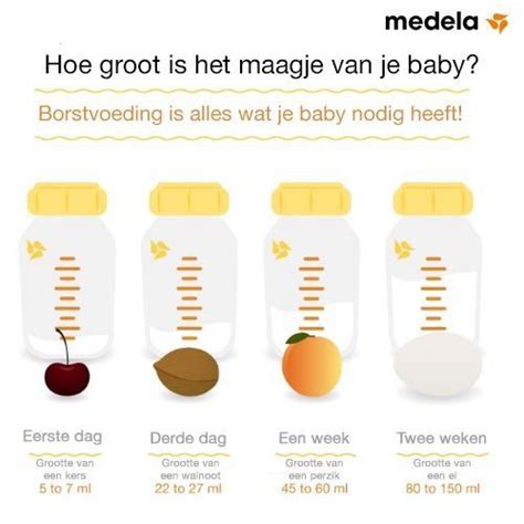 Infographic met de gemiddelde maaginhoud van een baby per levensmaand.