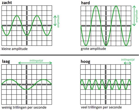 Diagram dat de demping van geluid in de baarmoeder illustreert