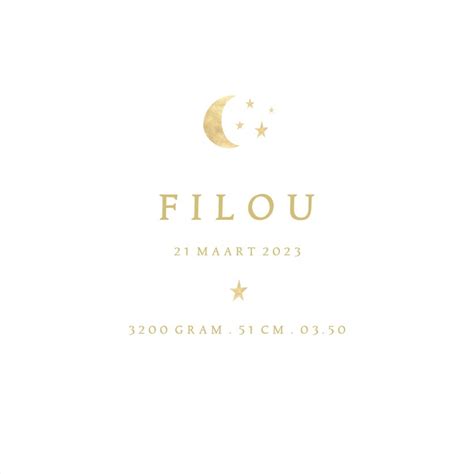 Voorbeeld van een roze geboortekaartje met gouden folie sterren en maantje.