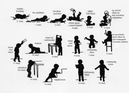 Infographic met de verschillende ontwikkelingsmijlpalen van een baby tot 3 jaar.