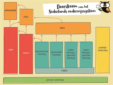 schema met adviezen bij gebroken vliezen