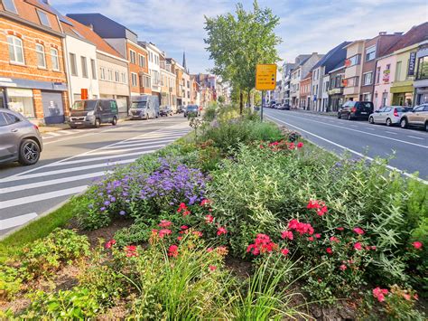 Illustratie van de vernieuwde Plesmanlaan met dubbele bomenrijen en groene middenberm, die de nieuwe stadsentree visualiseert