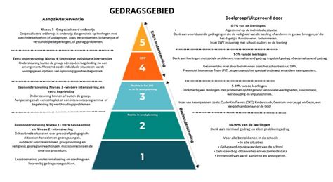 Infographic die de verschillende zorgniveaus (NICU, High Care, Medium Care) uitlegt