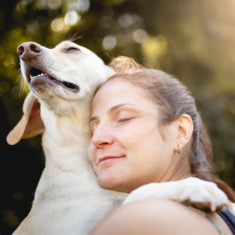 Een hond die knuffelt met een grote pluche beer