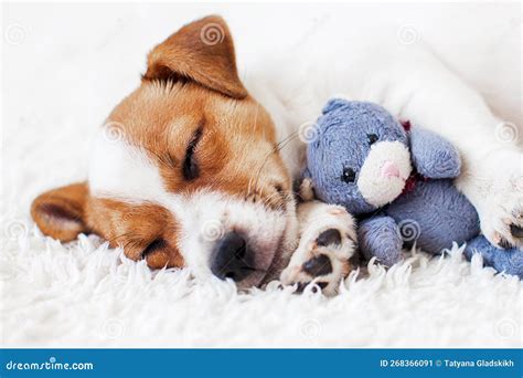 Een puppy die slaapt met een zachte hartslag-knuffel